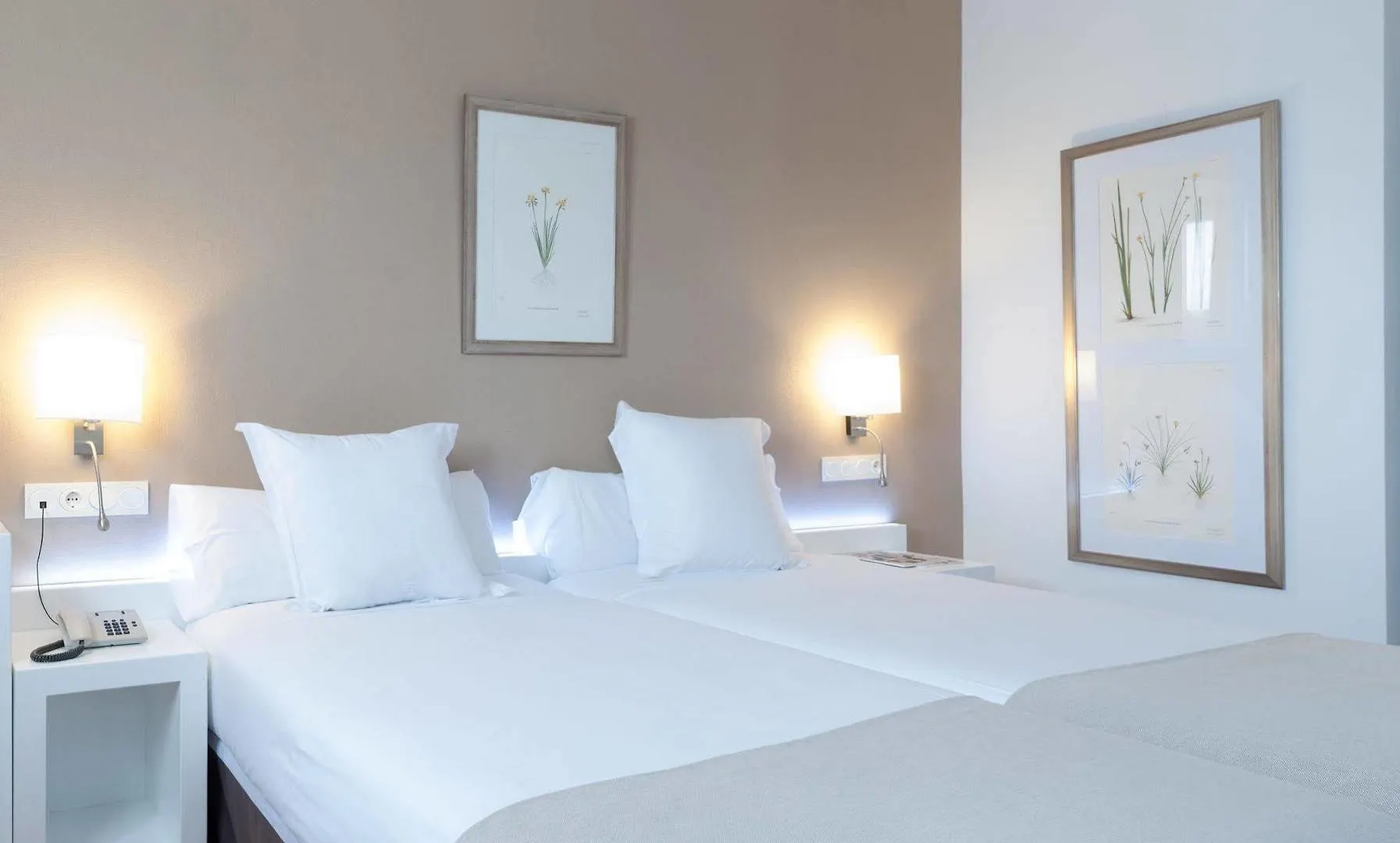 סביליה Hotel Alcazar