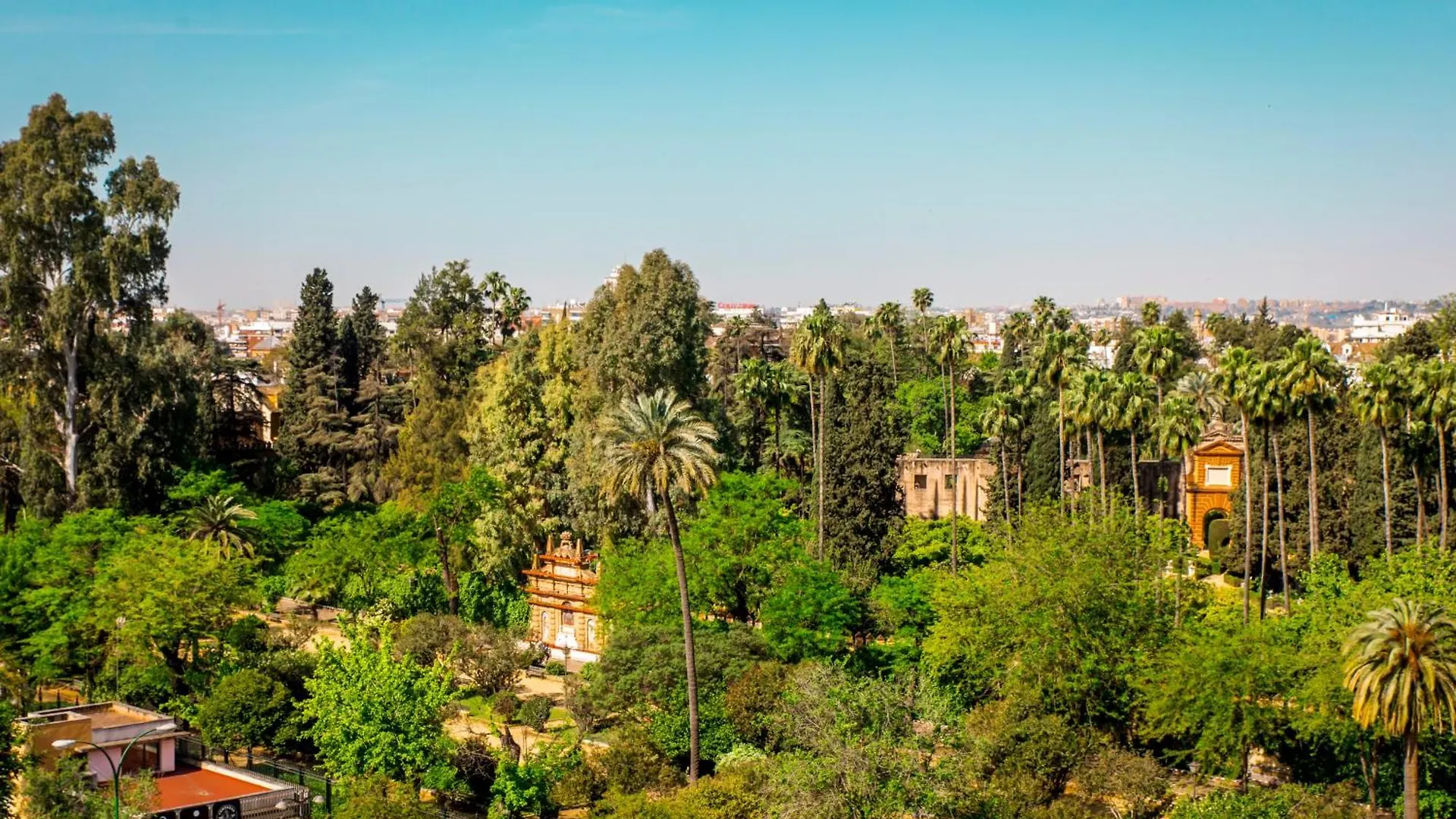 Hotel Alcazar Sewilla